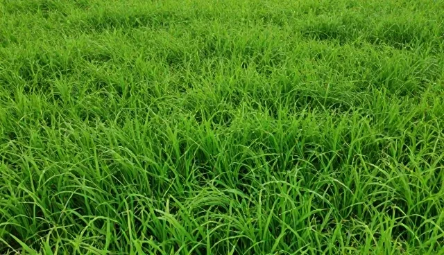 选型关注点:名录产品信息获取的性能与适用条件