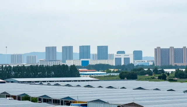 企业名录查询:两种做法对比与实际取舍